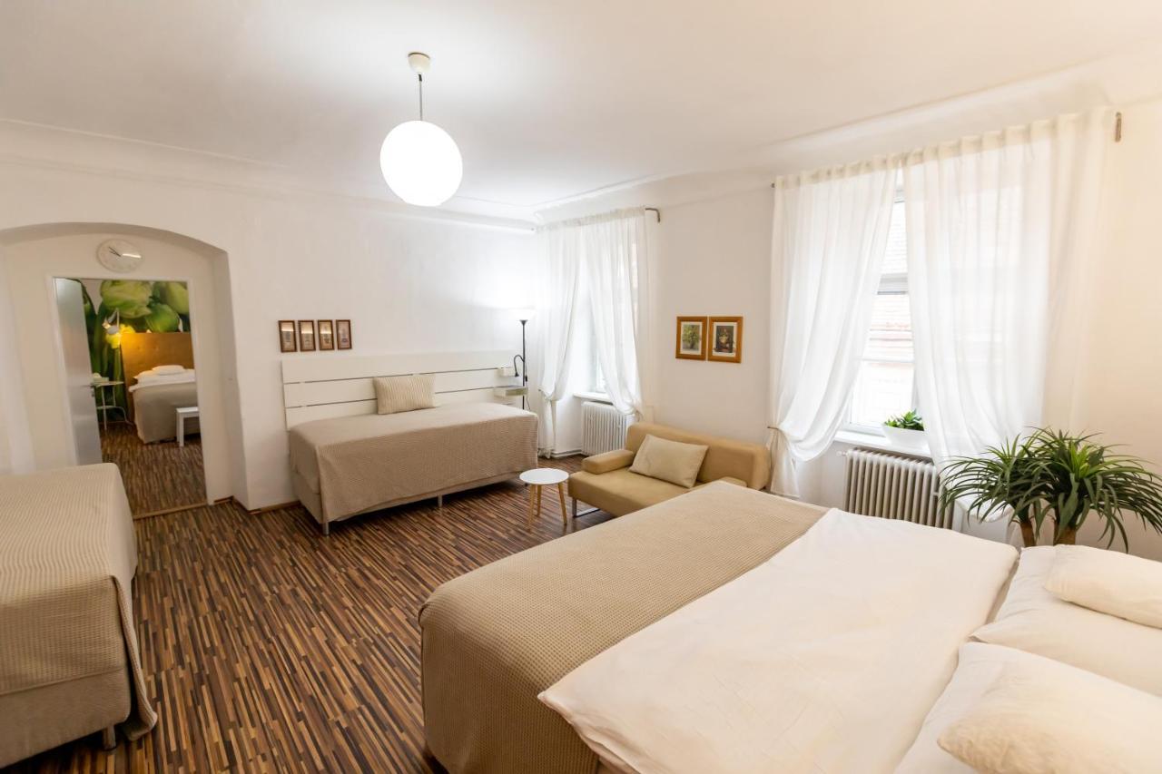 Palac Daun - Studio