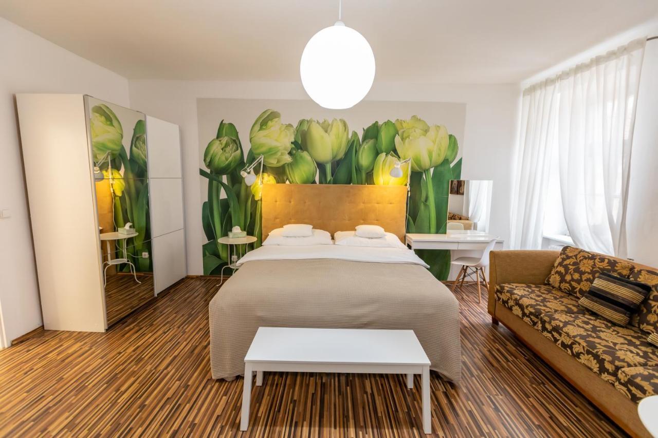 Palac Daun - Studio * Znojmo