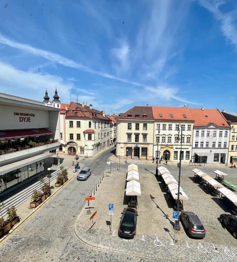 Palac Daun - Studio Apartment Znojmo
