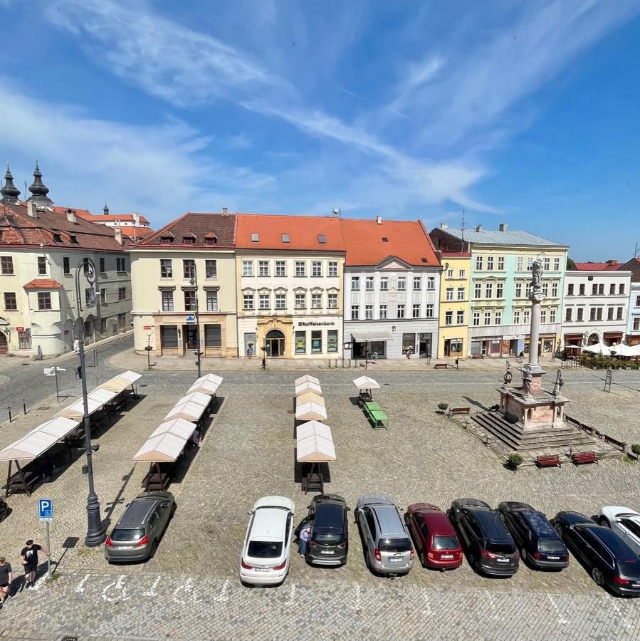 Palac Daun - Studio Apartment Znojmo